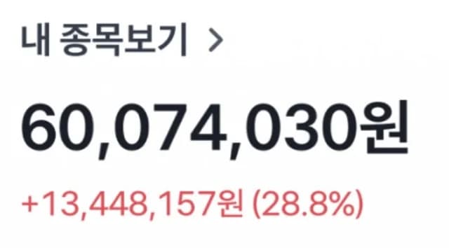 채림 수익 인증